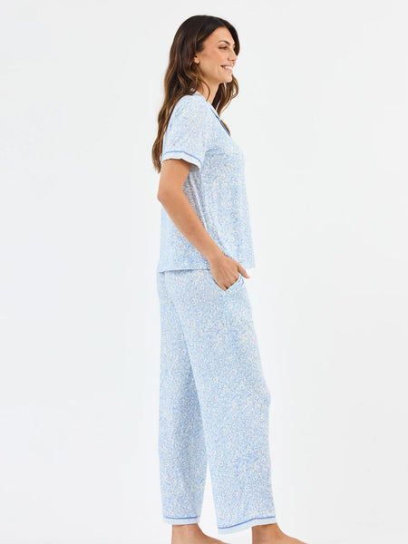 Charlotte Meadow Blue Stripe Set [Blue]