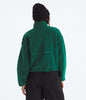 Extreme Pile 2 Pullover [Hunter Green-NF0A88ZC1KI1]